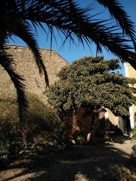 La Maison Des Palmiers Homps  Luaran gambar