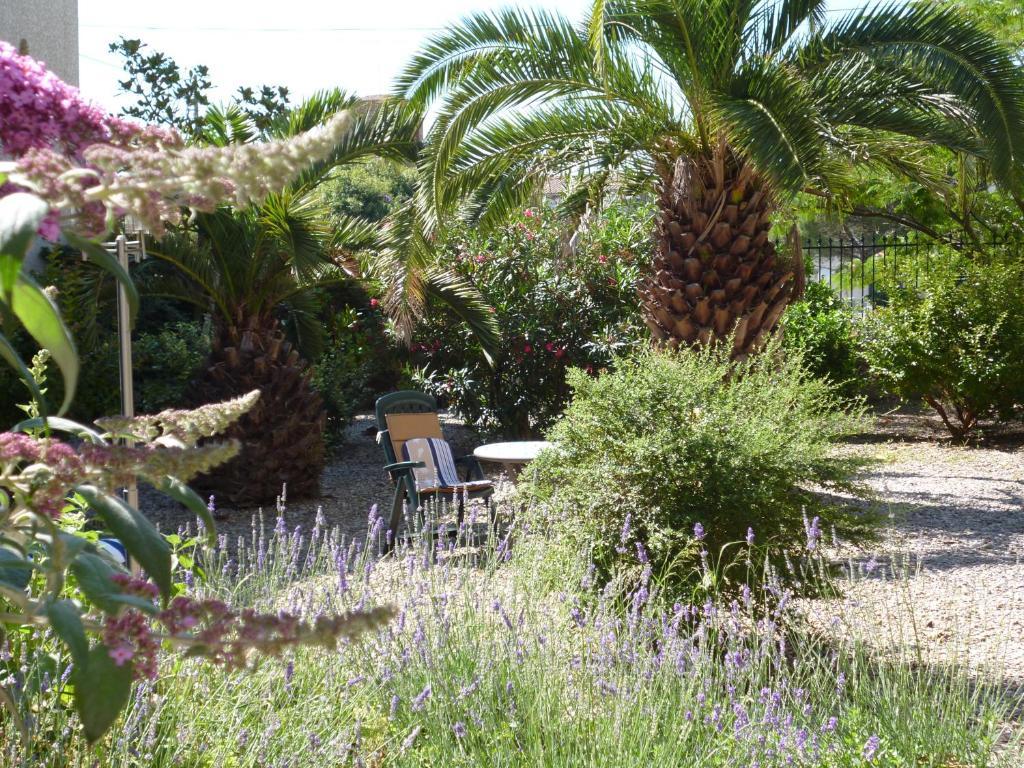 La Maison Des Palmiers Homps  Luaran gambar