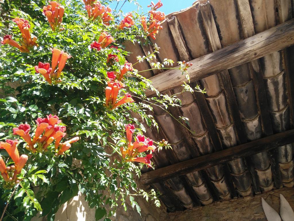 La Maison Des Palmiers Homps  Luaran gambar